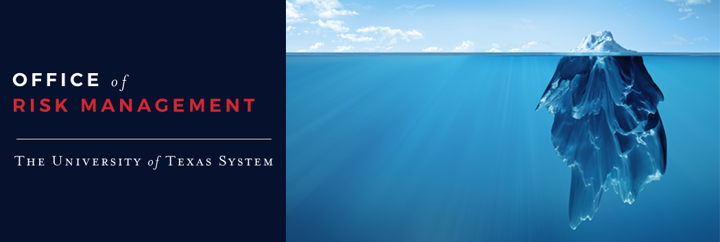 Dissertation on enterprise risk management